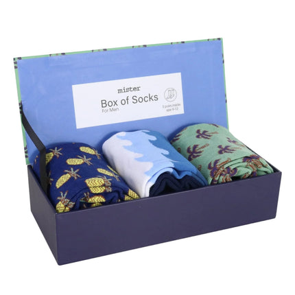 Wicked Sista Mister Holiday Box of Socks