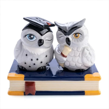 MDI Australia Owl Salt and Pepper Shaker Set Ceramic Kitchen Decor
