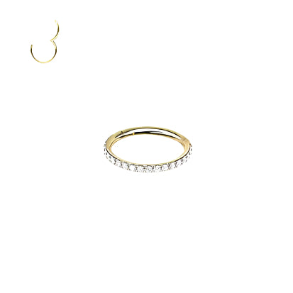 Rossan Hinged Segment Ring BJ1316.10GC 1.2MM 16G