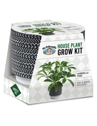 Mr. Fothergills Umbrella Tree House Plant Grow Kit