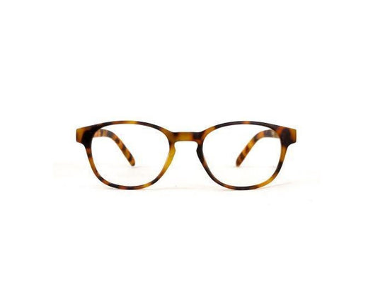 Azzurri Bari 2 Reading Glasses 2.50