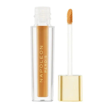 Napoleon Camera Finish Concealer My18