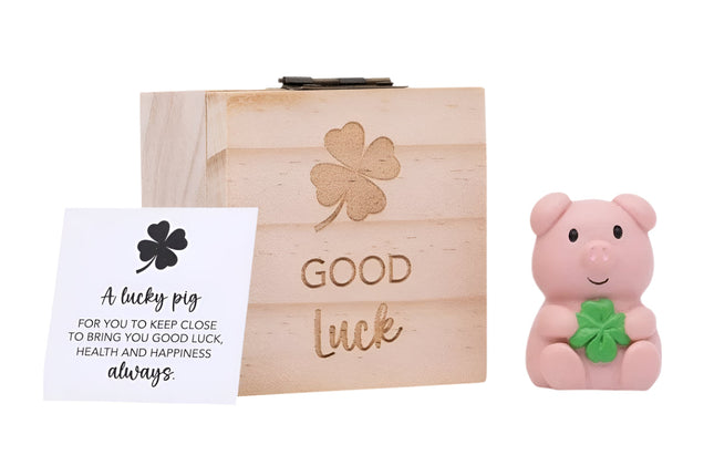 Splosh Pocket Promise Luck Pig