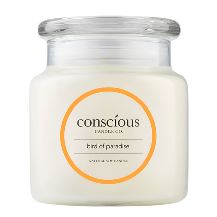 Conscious Candles Bird Of Paradise 510G
