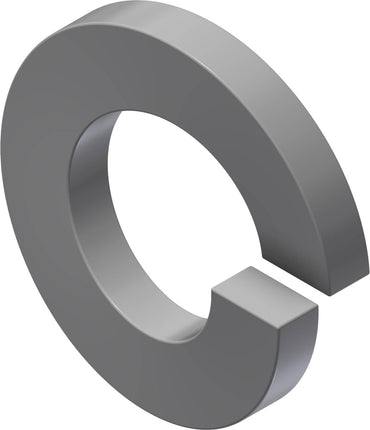 TR Fastenings Washer Spring S/S M10 10 Pack