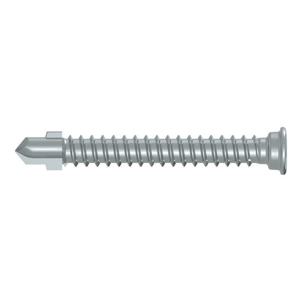 AnchorMark Fencing Screw S2 5.5x45 DS TTM Silver (500 Pieces)