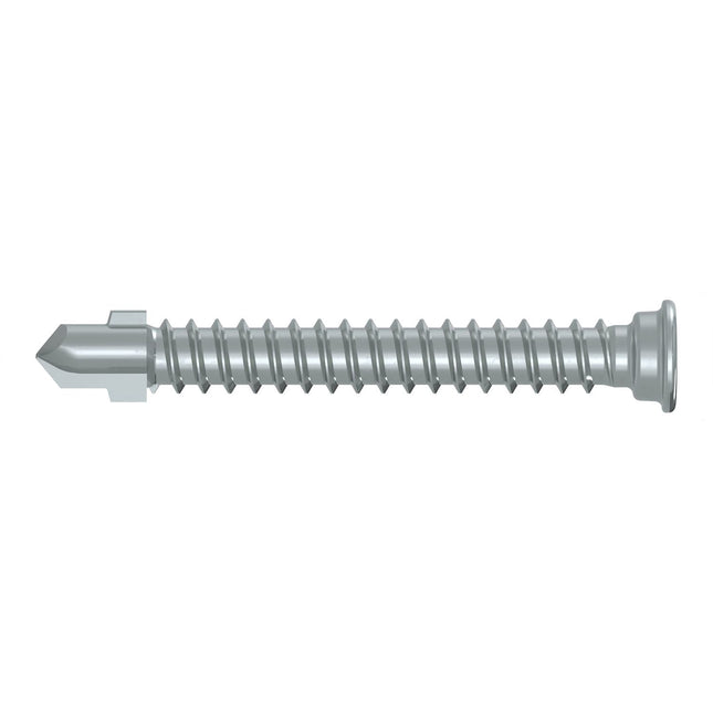 AnchorMark Fencing Screw S2 5.5x45 DS TTM Silver (500 Pieces)
