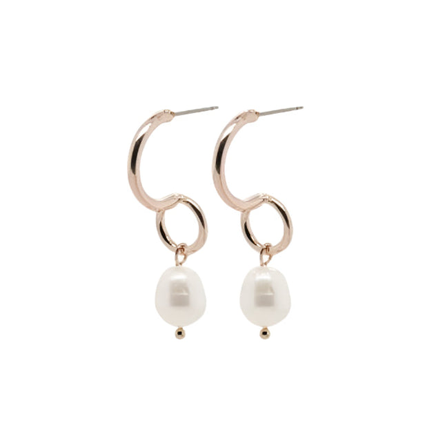 Adnohr Sensation Pear Drop Rose GP 16012