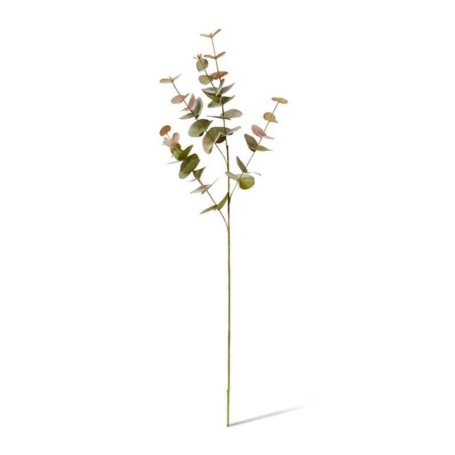 Eucalyptus Spray 25X14X86Cm Pink/Green
