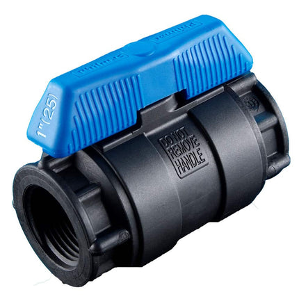 Philmac Poly Ball Valve FI x FI BSP x BSP 1/2in