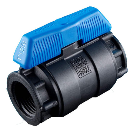 Philmac Poly Ball Valve FI x FI BSP x BSP 1/2in
