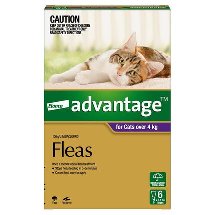 Advantage for Large Cats Over 4KG