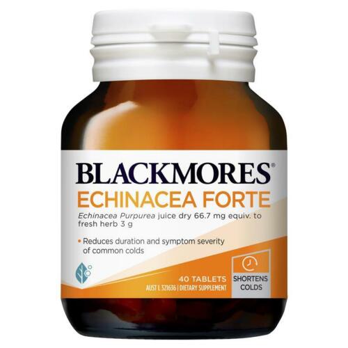 Blackmores Echinacea Forte 40 Tablets - OhYouLuckyDuck.com.au