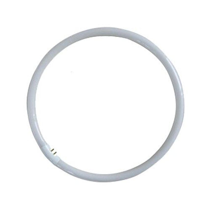 Lusion Globe 32W Coolwhite Circular T5 Tri Phosphor 4000K