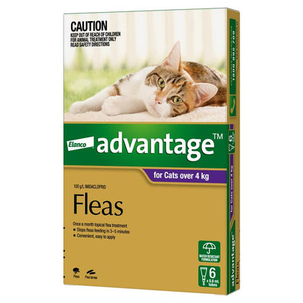 Advantage for Large Cats Over 4KG