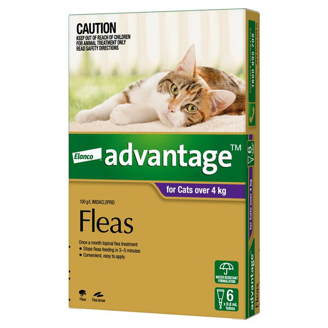Advantage for Large Cats Over 4KG