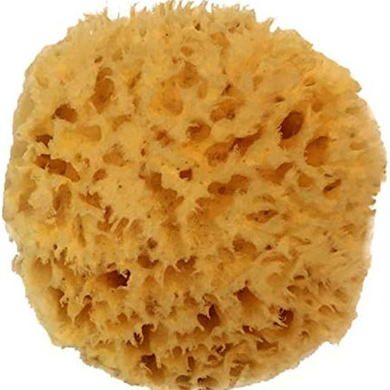 Dow Natural Sea Sponge 6.35cm