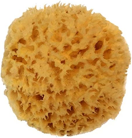 Dow Natural Sea Sponge 6.35cm