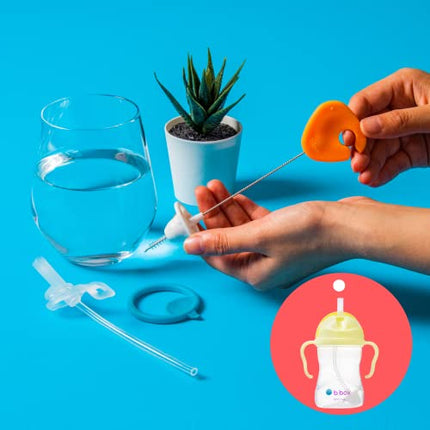 BBOX Cleaning Brush Set for Sippy Cups and Bottles 5 Piece