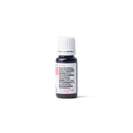 In Essence Focus and Memory Blend 10ml - OhYouLuckyDuck.com.au