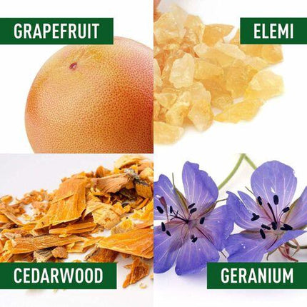 Adidas Chrg For Him EDT 100ml - OhYouLuckyDuck.com.au