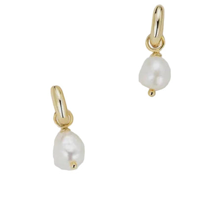 Zafino Charlie Mini Hoop Gold