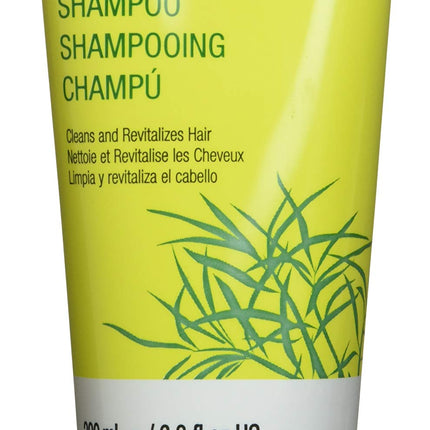 Tp Tea Tree Shampoo 200ML