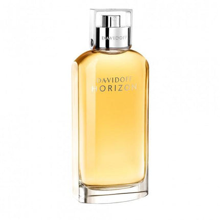 Davidoff Horizon EDT for Men 125ML - OhYouLuckyDuck.com.au