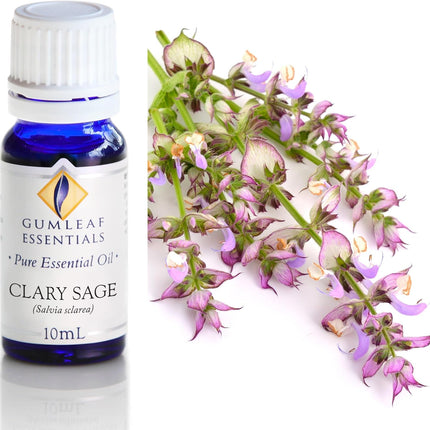 Gumleaf Clary Sage Essential Oil for Aromatherapy and Relaxation 10ml