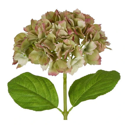 Florabelle Classic Real Touch Hydrangea Stem Green 52CM
