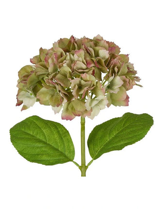 Florabelle Classic Real Touch Hydrangea Stem Green 52CM