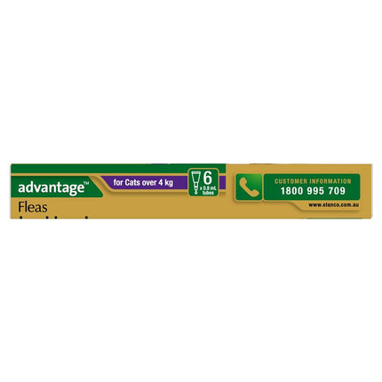Advantage for Large Cats Over 4KG