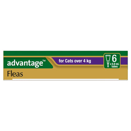 Advantage for Large Cats Over 4KG