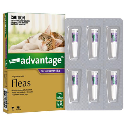 Advantage for Large Cats Over 4KG