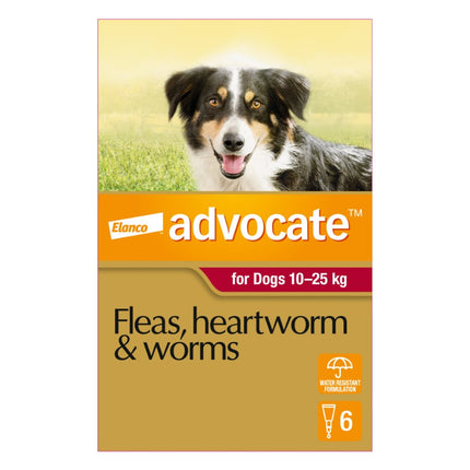 Advocate Flea Heartworm and Worm Treatment for Large Dogs 10 to 25 KG