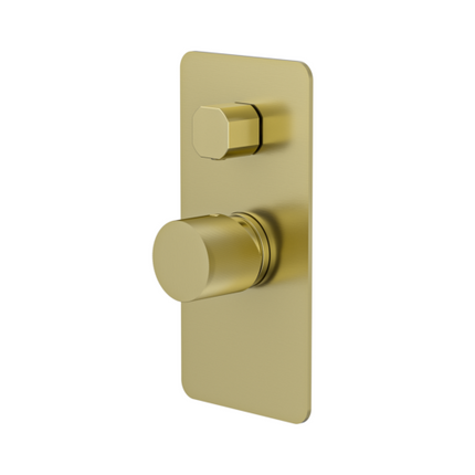 Ania Qi Kasten Wall Mounted Shower Diverter Mixer Tapware