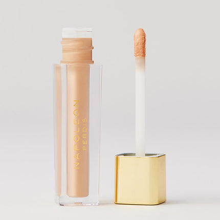 Napoleon Perdis Camera Finish Concealer LN10 4ML