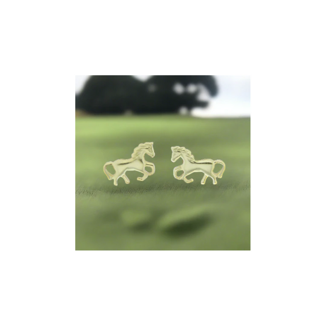 Rossan Gold Pony Fe4405
