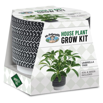 Mr. Fothergills Umbrella Tree House Plant Grow Kit