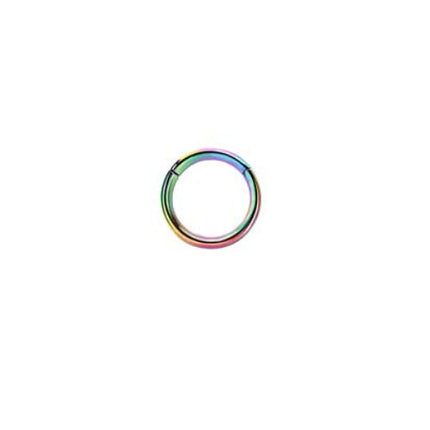 Rossan Hinged Segment Nose Ring Rainbow NS6000RB 10mm 18g