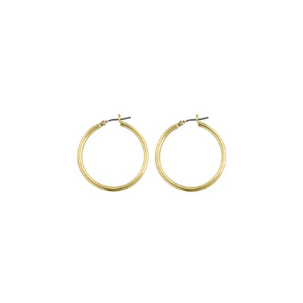 Rossan Fe4306 Hoop 30Mm Gold