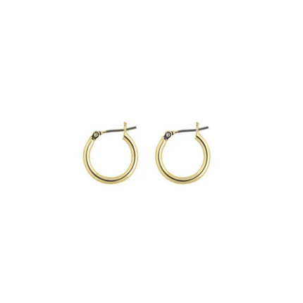 Rossan Fe4300 Hoop Plain 15Mm Go