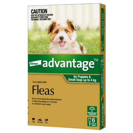 Advantage Dog 0-4Kg Small 6Pk (Green)