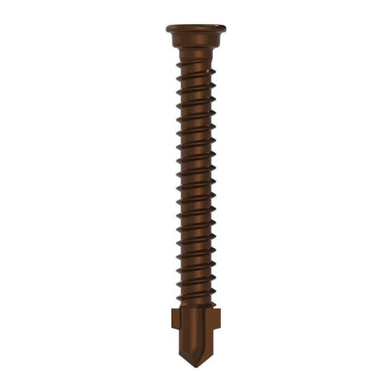 AnchorMark Fencing Screw S2 5.5x45 DS TTM Brown 500 Pieces