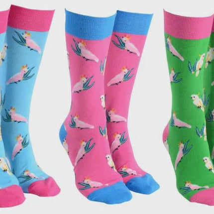 Sock Society Aussie Birds Novelty Crew Socks