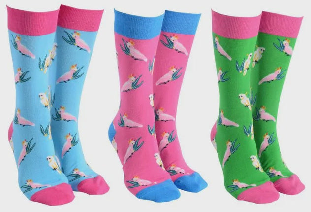 Sock Society Aussie Birds Novelty Crew Socks