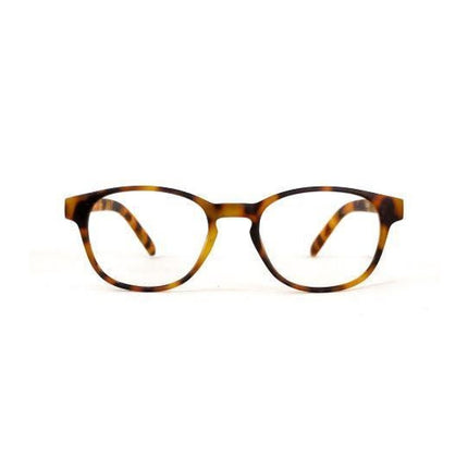 Artico Azzurri Bari 2 Reading Glasses 2.00