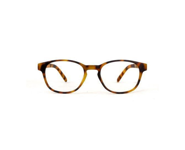 Artico Azzurri Bari 2 Reading Glasses 2.00