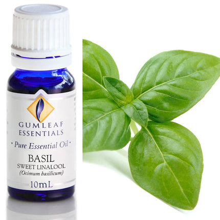 Gumleaf Essential Oil Basil Sweet Linalool 10 ML
