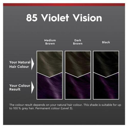 Schwarzkopf Brilliance 85 Violet Vision Gives A More Youthful Look - OhYouLuckyDuck.com.au